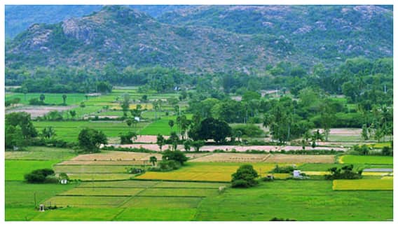 Telangana LRS Extension: తెలంగాణలో ఎల్‌ఆర్‌ఎస్ గడువు పెంపు- మే 3 లోపు పూర్తి చేసుకునే ఛాన్స్ 