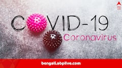 COVID-19 Origin: ‘আমেরিকা থেকেই ছড়ায় কোভিড’, চাঞ্চল্যকর দাবি চিনের, তদন্তের দাবি জানাল