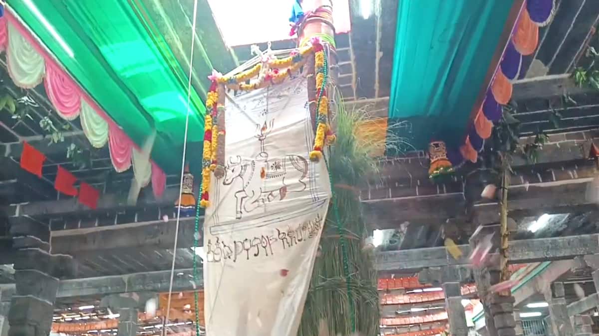 விழாக்கோலம் பூண்ட சீர்காழி - கொடியேற்றத்துடன் தொடங்கியது சட்டைநாதர் கோயில் சித்திரை பெருவிழா