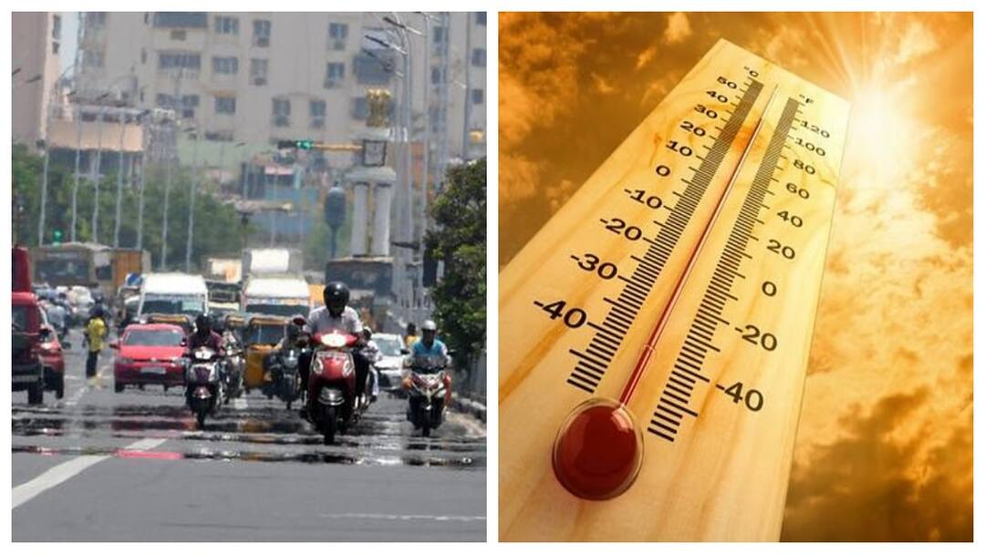 மக்களை வதைக்கும் அனல் காற்று.. 11 மாநிலங்களுக்கு பறந்தது உத்தரவு! NHRC calls for preventive measures by 11 States to protect the lives of vulnerable people from heat waves in this summer மக்களை வதைக்கும் அனல் காற்று.. 11 மாநிலங்களுக்கு பறந்தது உத்தரவு!