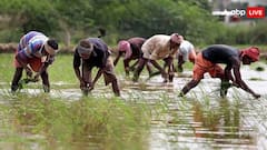 PM કિસાન યોજનાના 20મા હપ્તા અગાઉ કરવા માંગો છો અરજી? આ દસ્તાવેજની પડશે જરૂર