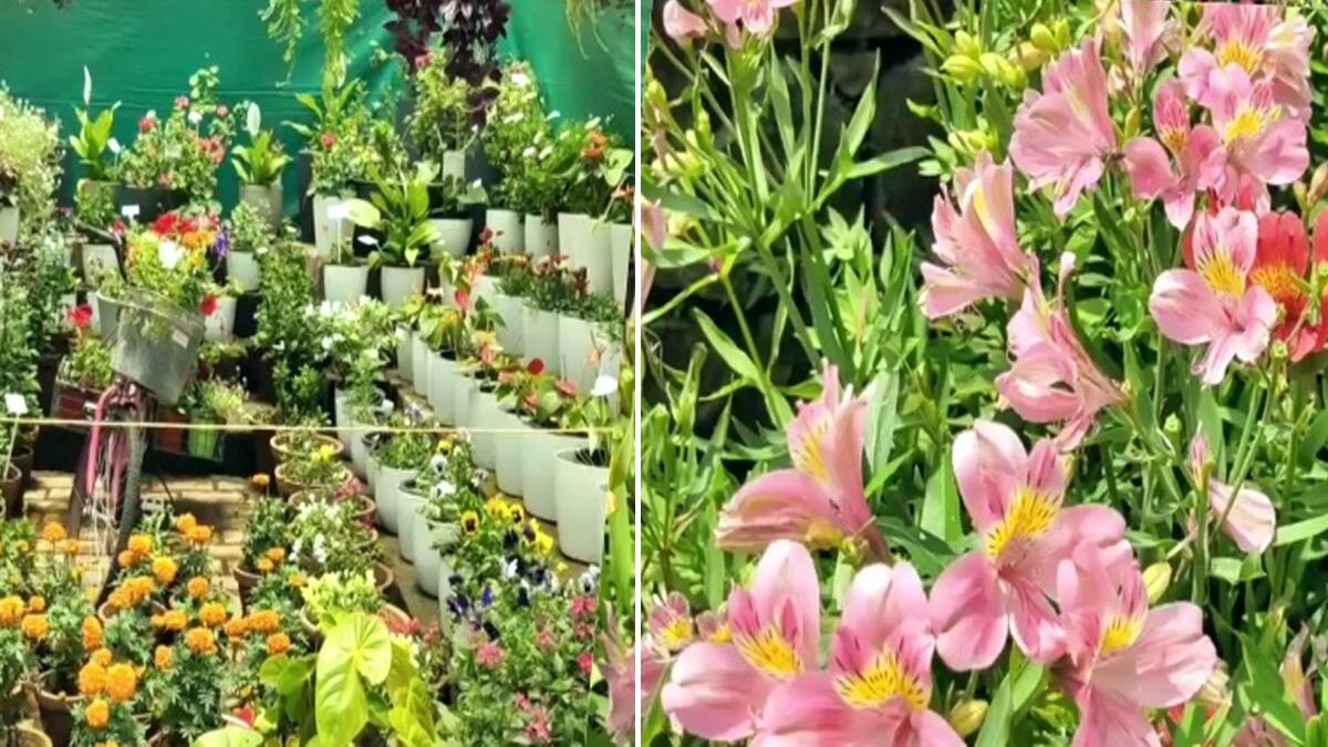 கோலாகலமாக தொடங்கியது மூணாறு மலர்க்கண்காட்சி.. உற்சாகத்துடன் சுற்றுலா பயணிகள் பங்கேற்பு..!