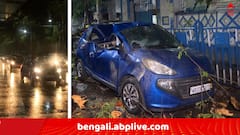 Weather Alert: রাজ্যজুড়ে ঝড়- বৃষ্টি, বাজ পড়ে মৃত ১ ! ট্রেন চলাচল বিঘ্নিত এই শাখায়..