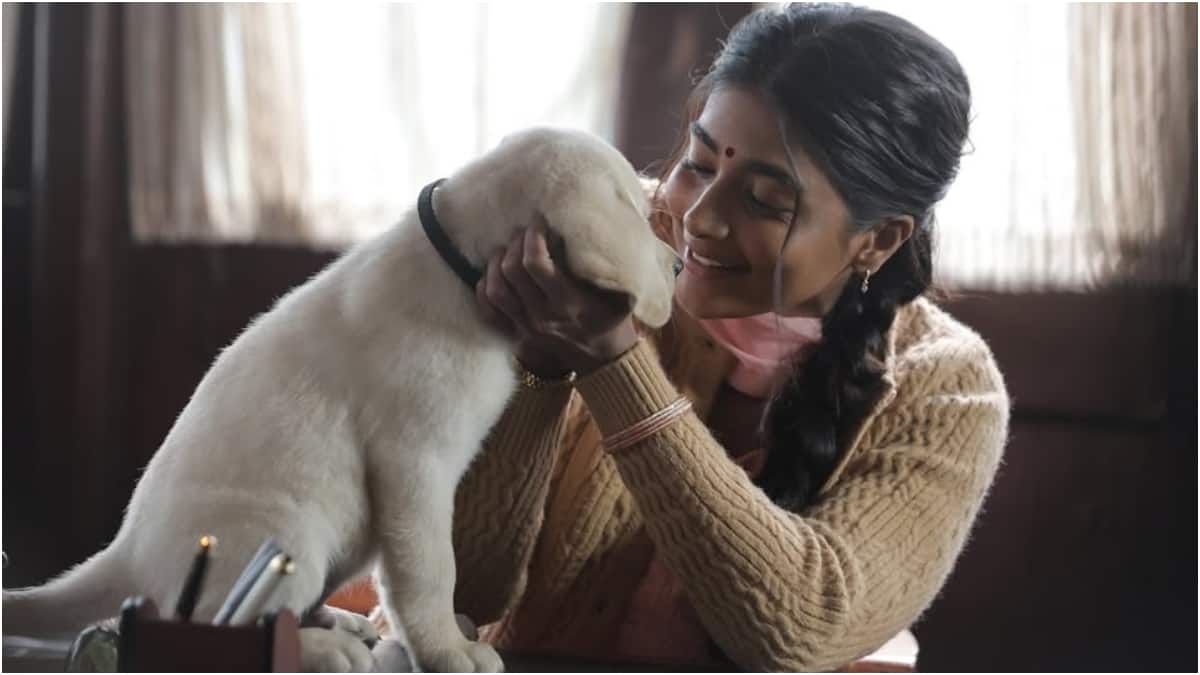 Retro OTT: தியேட்டரில் வாஷ் அவுட்! சத்தமில்லாமல் ஓடிடிக்கு பார்சலான சூர்யாவின் 'ரெட்ரோ'! எப்போது ரிலீஸ்!