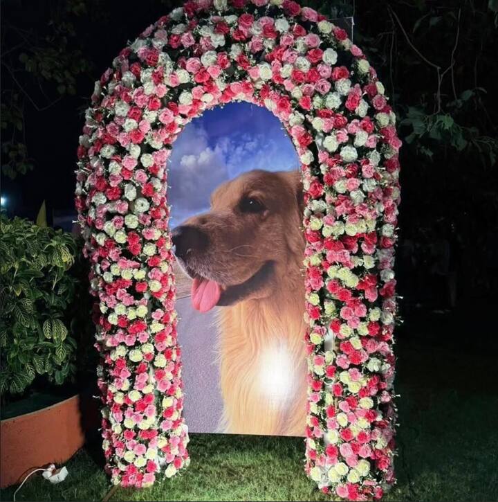 हैप्पी की तस्वीरें सोशल मीडिया पर खूब वायरल हो रही हैं. फैंस को हैप्पी की क्यूटनेस बहुत पसंद आ रही है. वो इन फोटोज को खूब शेयर कर रहे हैं.