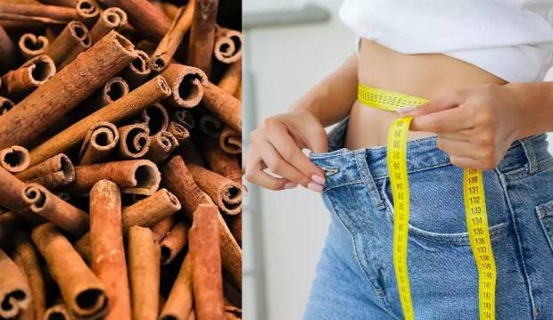 તજમાં કેટલાક એવા ગુણ છે જેના કારણે વારંવાર ભૂખ નથી લાગતી. તમે ચા વગેરેમાં આખા તજ અથવા પાવડરનો ઉપયોગ કરી શકો છો.