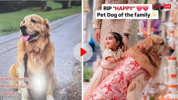 मुकेश अंबानी के पालतू कुत्ते Happy की मौत पर वायरल हो रहे ये इमोशनल पोस्ट