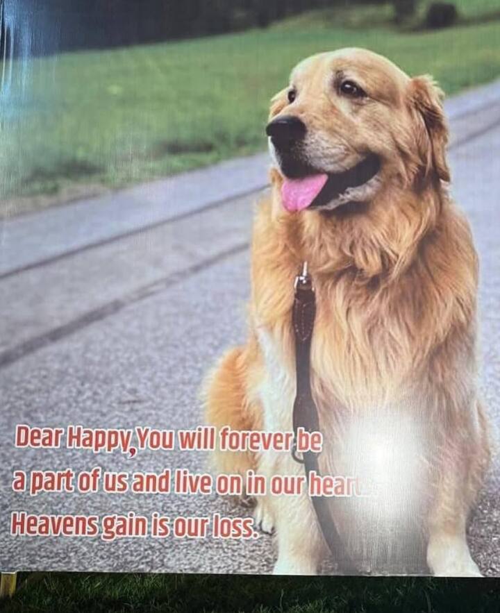 अंबानी परिवार ने लिखा- डियर हैप्पी, तुम हमेशा हमारा हिस्सा रहोगे और हमारे दिलों में जिंदा रहोगे. स्वर्ग का लाभ, हमारा नुकसान.