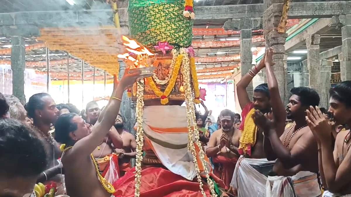 விழாக்கோலம் பூண்ட சீர்காழி - கொடியேற்றத்துடன் தொடங்கியது சட்டைநாதர் கோயில் சித்திரை பெருவிழா