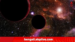 Daily Astrology: অসময়েও ছাড়েননি হাত ? কাল আপনার দিন, ফোন সঙ্গে রাখবেন, ভাল খবর আসতে পারে এই রাশির জাতকদের..