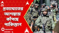 Kashmir News: পহেলগাঁও জুড়ে তল্লাশি, প্রত্যাঘাতের আশঙ্কায় কাঁপছে পাকিস্তান