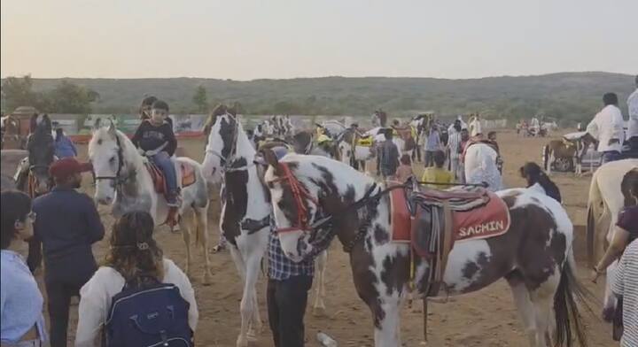 महाबळेश्वर नगरपालिका प्रशासनाने विविध पर्यटन पॉईंटवर काम करताना पाहायला मिळत आहेत.