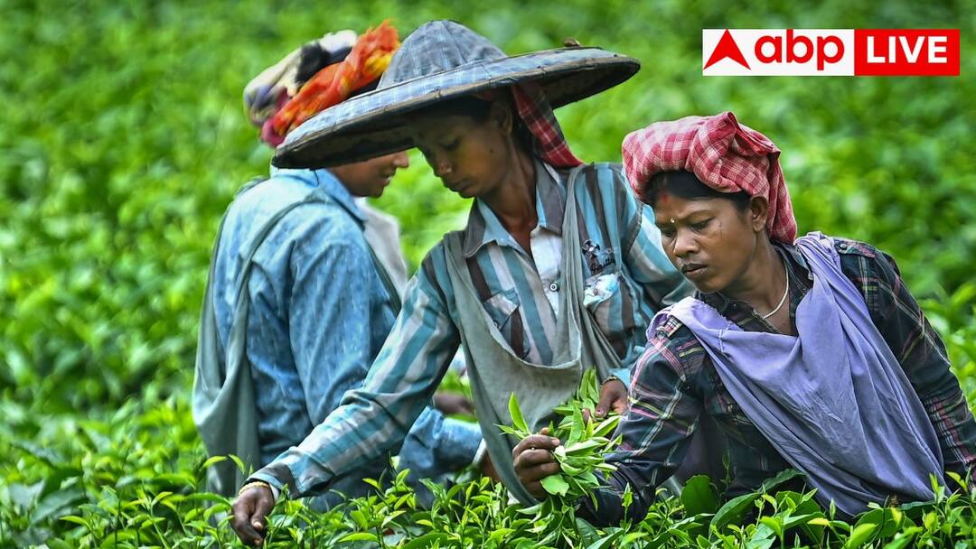 From Labor Day to Maharana Pratap Jayanti know what is special in this month of May ​मजदूर दिवस से लेकर महाराणा प्रताप जयंती तक... जानें क्या क्या है खास इस मई के महीने में