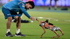 IPL 2025 में रोबोट डॉग का नाम 'चंपक' रखने पर BCCI को हाई कोर्ट का नोटिस, कोहली का नाम भी आया बीच में; जानिए क्यों