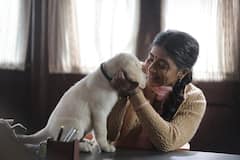 Pooja Hegde: పూజా హెగ్డే కాదు... రుక్మిణి - Retro సినిమాలో ఫోటోలు షేర్ చేసిన బుట్టబొమ్మ