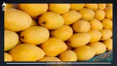 ਸਾਵਧਾਨ! ਬਾਜ਼ਾਰ 'ਚ ਵਿਕ ਰਹੇ ਕੈਮੀਕਲ ਵਾਲੇ ਅੰਬ...ਬਣ ਰਹੇ ਨੇ ਬਿਮਾਰੀਆਂ ਦਾ ਕਾਰਨ, ਇੰਝ ਕਰੋ ਪਛਾਣ