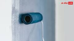 Utility News: ગરમીમાં કયો કલર કરાવવાથી ઘર રહે છે ઠંડુ ? નહીં જાણતા હોવ તમે