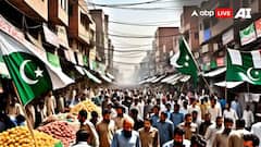 India Pakistan War : ভারতে পাকিস্তান জিন্দাবাদ বললে বা পতাকা তুললে কী সাজা ? সঙ্গে সঙ্গে গ্রেফাতার