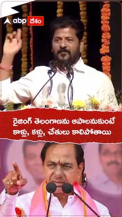 CM Revanth Reddy Comments on Rising Telangana