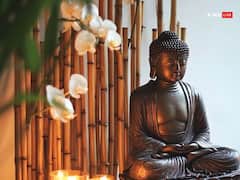 Vastu Tips: घर में भगवान बुद्ध की मूर्ति रखने से क्या होता है?