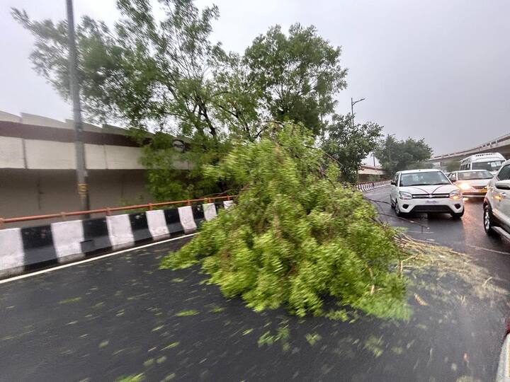 मौसम विभाग ने नागरिकों को घरों में सुरक्षित रहने और अनावश्यक रूप से बाहर न निकलने की सलाह दी है. साथ ही कमजोर संरचनाओं से दूर रहने और बिजली गिरने की आशंका के चलते खुले इलाकों में शेल्टर लेने से मना किया है. 