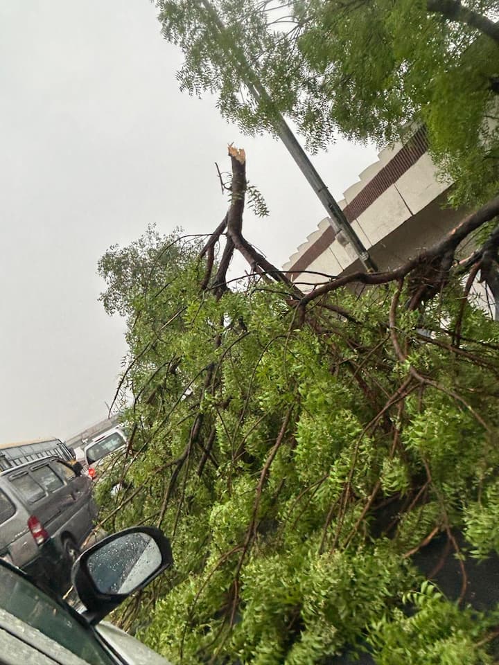 मौसम विशेषज्ञों का कहना है कि पश्चिमी विक्षोभ की वजह से बारिश हुई है. इस समय उत्तर भारत के ऊपर सक्रिय है. इससे अगले 24 से 48 घंटों तक मौसम खराब रहने की संभावना है. 