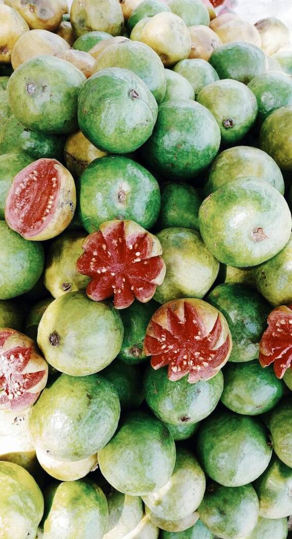 किस फल में होता है सबसे ज्यादा प्रोटीन?