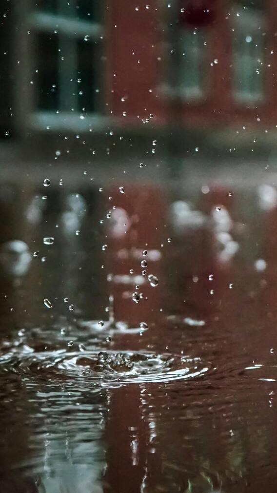 बारिश में बढ़ जाता है इन बीमारियों का खतरा