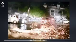 Punjab Weather: ਪੰਜਾਬ 'ਚ 4 ਦਿਨ ਹਨੇਰੀ-ਤੂਫਾਨ ਦਾ ਯੈਲੋ ਅਲਰਟ; ਅੰਮ੍ਰਿਤਸਰ, ਗੁਰਦਾਸਪੁਰ, ਪਟਿਆਲਾ ਸਣੇ ਕਈ ਜ਼ਿਲ੍ਹਿਆਂ 'ਚ ਰਾਤ ਨੂੰ ਪਿਆ ਮੀਂਹ; 30 ਕਿਮੀ ਦੀ ਰਫਤਾਰ ਨਾਲ ਚੱਲੀਆਂ ਹਵਾਵਾਂ, ਡਿੱਗੇ ਰੁੱਖ