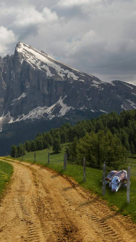 हिमाचल का Hidden Gem शोघी, जहां है शांति और प्राकृतिक सुंदरता