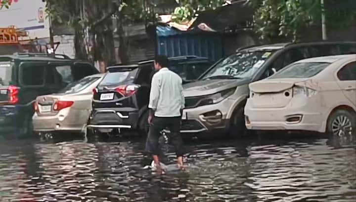 द्वारका के विकास कुंज अपार्टमेंट के जनरल सेक्रेटरी ने कहा कि उनकी सोसाइटी में कई गाड़ियां पेड़ों के नीचे दब गईं. सेक्टर 8 और बाकी इलाकों में भी ऐसा ही हाल रहा.