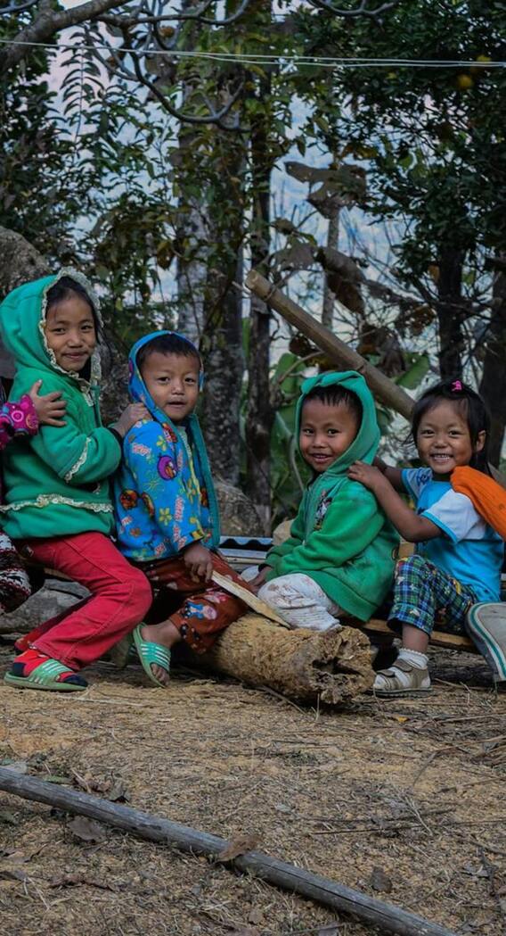 मणिपुर में कितने नगा रहते हैं?