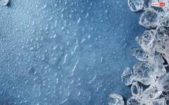 Whisky ਵਿੱਚ ਬਰਫ਼ ਪਾਉਣੀ ਚਾਹੀਦੀ ਜਾਂ ਨਹੀਂ, ਜਾਣੋ ਇਸਨੂੰ ਪੀਣ ਦਾ ਸਭ ਤੋਂ ਵਧੀਆ ਤਰੀਕਾ