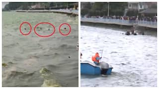 Watch Video: காஷ்மீருக்கு நேரம் சரி இல்ல.. டால் ஏரியில் கவிழ்ந்த படகு.. உதவி கேட்டு அலறிய மக்கள்