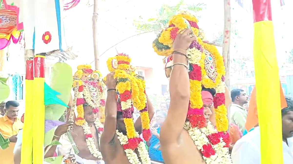 சீர்காழி அபய மீனாட்சி சித்தர் பீட மகா கும்பாபிஷேகம் - தருமபுரம் ஆதீனம் உள்ளிட்ட ஏராளமான பக்தர்கள் தரிசனம்...!