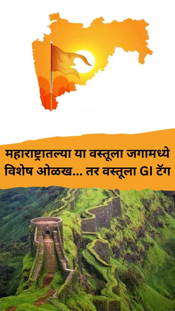 महाराष्ट्रातल्या या वस्तूला जगामध्ये विशेष ओळख... तर वस्तूला GI टॅग