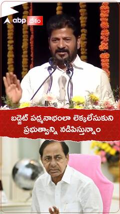 CM Revanth Reddy Comments on State Budget