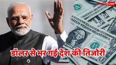 अमेरिकी डॉलर से भर गया भारत का खजाना, फॉरेन एक्सचेंज रिजर्व ने तो इस बार कमाल कर दिया