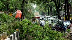 Tree Collapse In Howrah Claims Lives Of Two Municipal Employees, Injures One