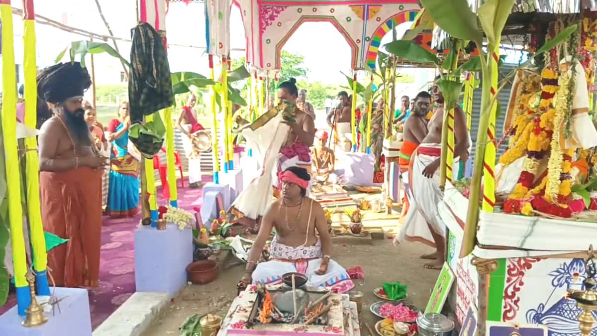 சீர்காழி அபய மீனாட்சி சித்தர் பீட மகா கும்பாபிஷேகம் - தருமபுரம் ஆதீனம் உள்ளிட்ட ஏராளமான பக்தர்கள் தரிசனம்...!