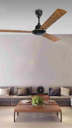 क्या होते हैं BLDC फैन जो तेज हवा के साथ बचाते हैं बिजली?