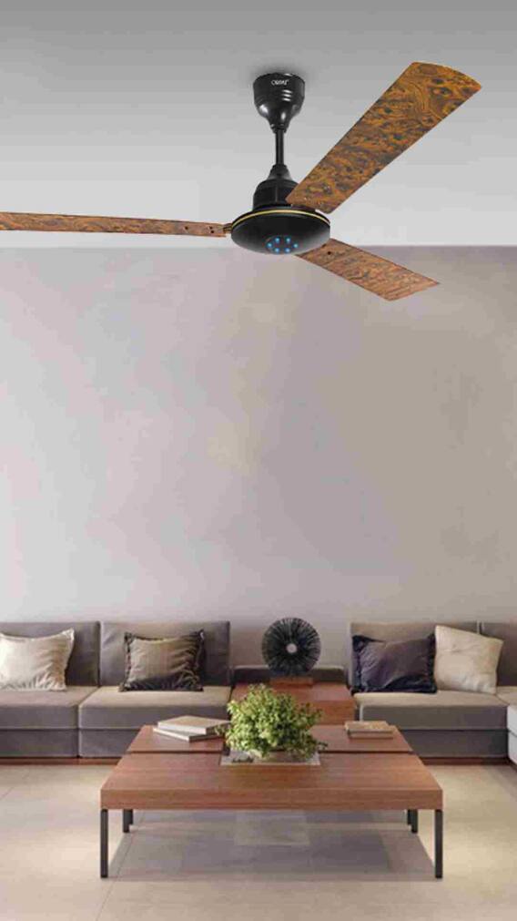 क्या होते हैं BLDC फैन जो तेज हवा के साथ बचाते हैं बिजली?