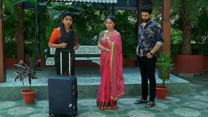 కావ్య బయటకు వచ్చిన తర్వాత వెనుకాలే బయటకు వస్తారు రుద్రాణి , రాహుల్. ఎక్కడికి అని అడిగితే ఫ్రెండ్స్ తో పార్టీకి అంటుంది. నీకు పార్టీ కల్చర్ పడదనుకుంటా అంటాడు రాహుల్. నీకు నేను చెప్పానా అని ఫైర్ అవుతుంది కావ్య.