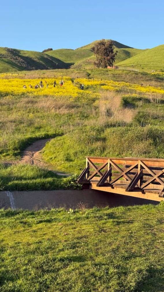 बैसरन घाटी ही नहीं, इन जगहों को भी कहते हैं भारत का स्विट्जरलैंड