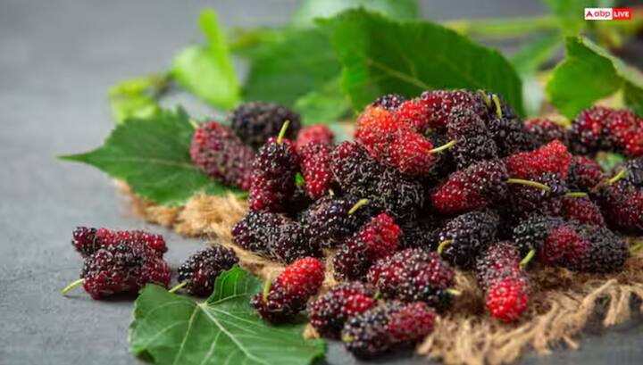 ਗਰਮੀਆਂ ਵਿੱਚ ਨਾ ਸਿਰਫ਼ ਸ਼ਹਿਤੂਤ ਖਾਣਾ ਫਾਇਦੇਮੰਦ ਸਾਬਤ ਹੋ ਸਕਦਾ ਹੈ, ਸਗੋਂ ਇਸ ਦੇ ਪੱਤਿਆਂ ਨੂੰ ਚਬਾਉਣਾ ਵੀ ਤੁਹਾਡੀ ਸਿਹਤ ਲਈ ਫਾਇਦੇਮੰਦ ਹੋ ਸਕਦਾ ਹੈ। ਆਓ ਜਾਣਦੇ ਹਾਂ ਸ਼ਹਿਤੂਤ ਦੇ ਪੱਤੇ ਚਬਾਉਣ ਦੇ ਕੀ ਫਾਇਦੇ ਹਨ?