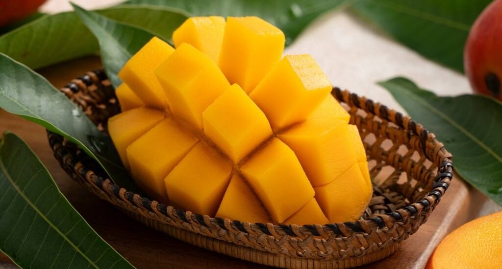 I feel afraid of gaining weight while eating mango, consume it this way, you will not gain weight Health: કેરી ખાતી વખતે વજન વધવાનો લાગે છે ડર, આ રીતે કરો સેવન, નહિ વધે વજન