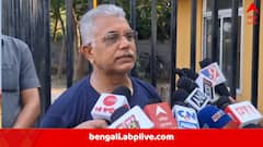 ‘বিমানে চেপে দিল্লি যাইনি, কারও অ্যাপয়েন্টমেন্টও নিতে হয়নি’, ফের রাজ্য BJP-র একাংশকে নিশানা দিলীপের