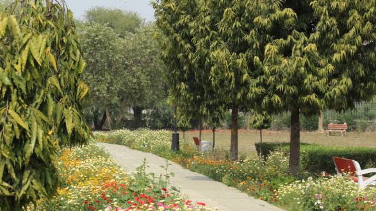 दिल्ली के जापानी पार्क में पेड़ से लटकी मिली नाबालिग की लाश, रहस्य बना मौत का कारण
