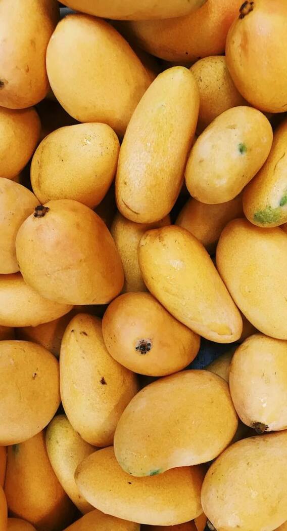 आम के साथ बिल्कुल भी न खाएं ये 4 चीजें