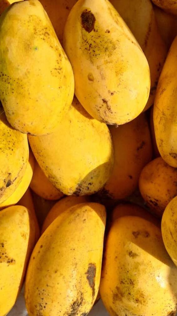 रोज आम खाने से क्या फायदा होता है?